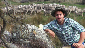 Осинови овца: виртуална платформа създава нови източници на доход