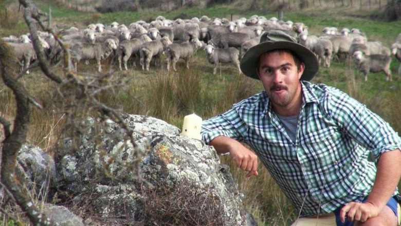 Осинови овца: виртуална платформа създава нови източници на доход