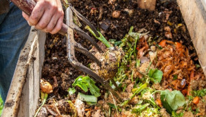 Полезно: Как се компостират зеленчукови отпадъци в малки стопанства? - Agri.bg