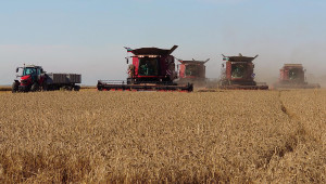 Зърнопроизводство 2021: 10-годишен рекорд в добивите от пшеница в Добруджа - Снимка 1