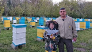 Калоян Кисов: Пчеларството страда от липсата на правила и контрол