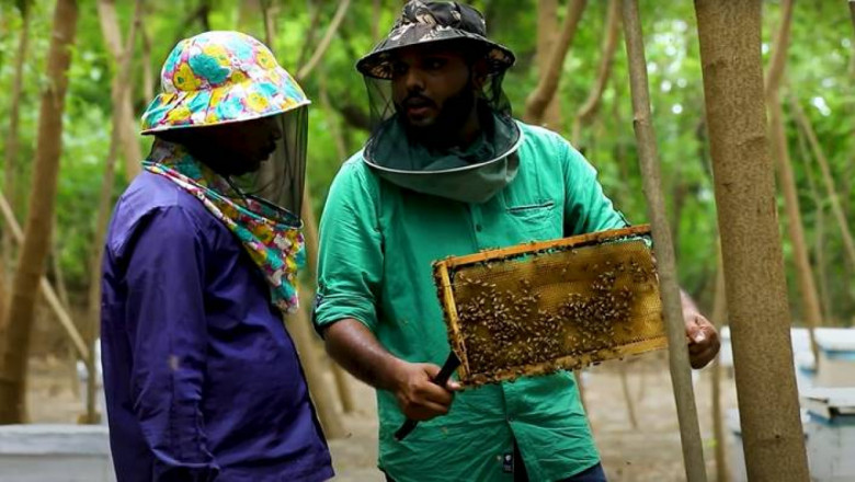Бавно, устойчиво и сладко - пчеларството като бизнес и философия