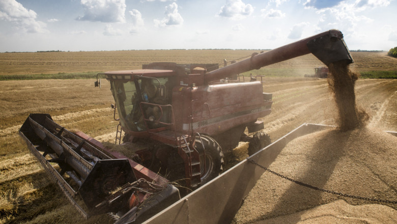 Борси: Зърното изпраща годината с добри цени