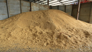 Борси: Отново несигурност на зърнения пазар