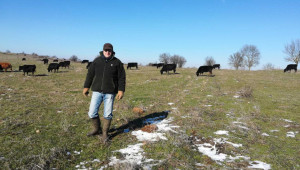 Стоян Чуканов: Предвижда се твърда ставка за месодайните говеда за целия програмен период