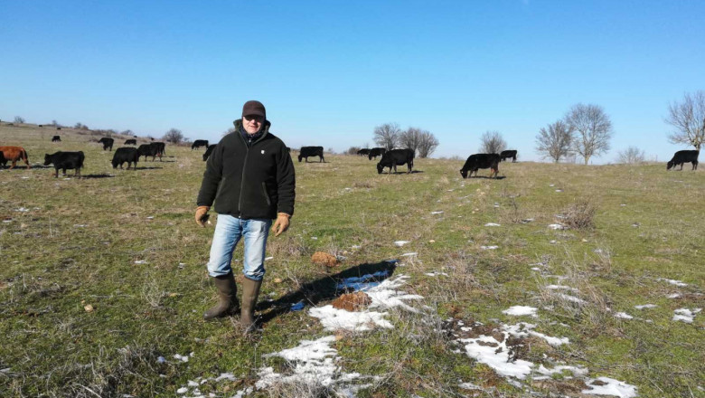 Стоян Чуканов: Предвижда се твърда ставка за месодайните говеда за целия програмен период
