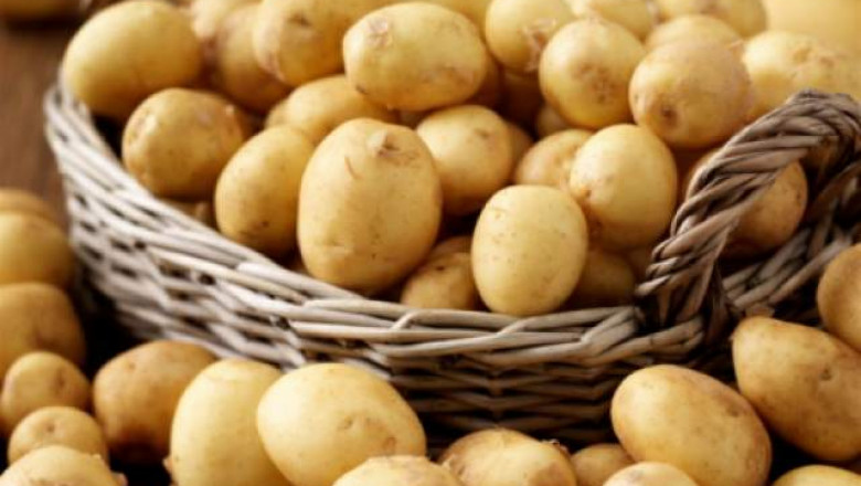 Как да разберем, че картофите имат нужда от наторяване с калий?