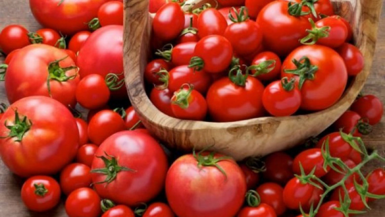 Какви са изискванията към топлинния режим на доматите?