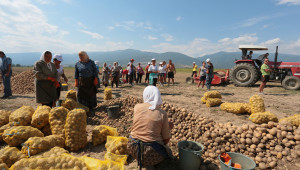 ДФЗ ще може да санкционира до 100%, ако фермер злоупотреби с правата на работниците - Agri.bg