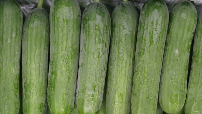 Цени на зеленчуците: Двойно поскъпват вносните краставици