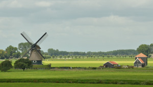 Земеделие по нидерландски: пазари, политика, поземлени отношения
