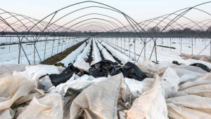 Рециклирането на пластмаса от фермите: бизнес с бъдеще - Agri.bg