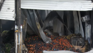 За трети път: Тонове плодове и зеленчуци изгоряха в Кърналово - Agri.bg
