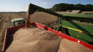 Фючърсни сделки: Как се котират пшеница, царевица и рапица?