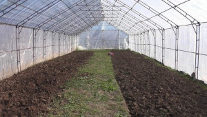 Време е за разсадите за полско производство в Северозападна България - Agri.bg