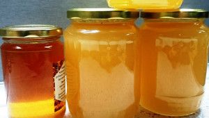 Пчелар инвестира в производството на кремообразен мед