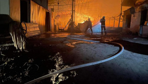 Животни изгоряха живи във ферма във Великотърновско (обновена) - Снимка 2