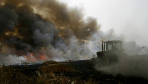 След атаката на Русия в Украйна: Пшеницата скочи до почти десетилетен пик