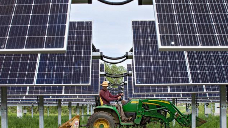Отгледано на сянка: Агроволтаичните соларни системи в действие