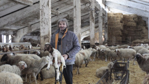 Симеон Хаджиев: Не се чува гласът на истинските животновъди