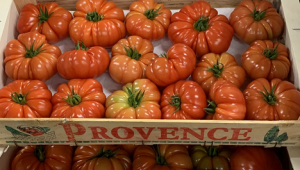 Новият хит на пазара - домати в различни цветове - Снимка 3