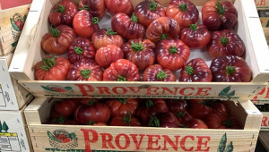 Новият хит на пазара - домати в различни цветове - Снимка 4