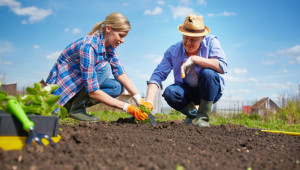 Агроиновации: Изграждане на мрежа от фермерски организации