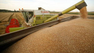 Зърнени борси: Цените продължават да хвърчат нагоре