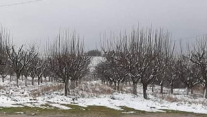 Първи сняг за тази зима падна в Козлодуйско и Мизийско