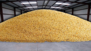 Коментар: Държавната интервенция на пазара на пшеница не е лишена от логика