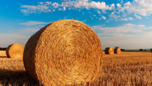 Цената на сеното във Врачанско държи стабилни цени