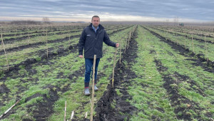 Фермер засади 1 000 000 дървета - Agri.bg
