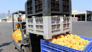 30 млн. лв. са заложени за центрове за съхранение на плодове и зеленчуци в НПВУ - Agri.bg