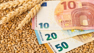 570 лв./тон за хлебна пшеница дава държавата