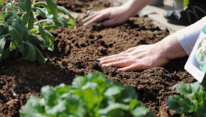 Миризмата на почвата - първият анализ, който френски експерт препоръчва на фермерите - Agri.bg