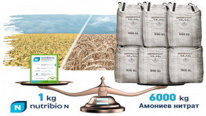 Кои са петте ползи от ранното третиране на рапица и пшеница с Амалгерол Есенс и Нутрибио N?