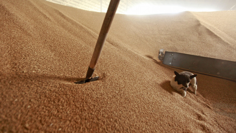 Министерството отговаря кога може да забрани износа на зърно