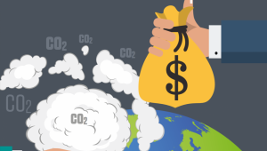 CAP4US уебинар: Какво са въглеродните пазари и как фермерите могат да спечелят?