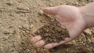 Практически съвети за намаляване на ерозията на почвите