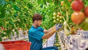 Апел от оранжериите: Държавата да поеме 50% от осигуровките по постоянните трудови договори