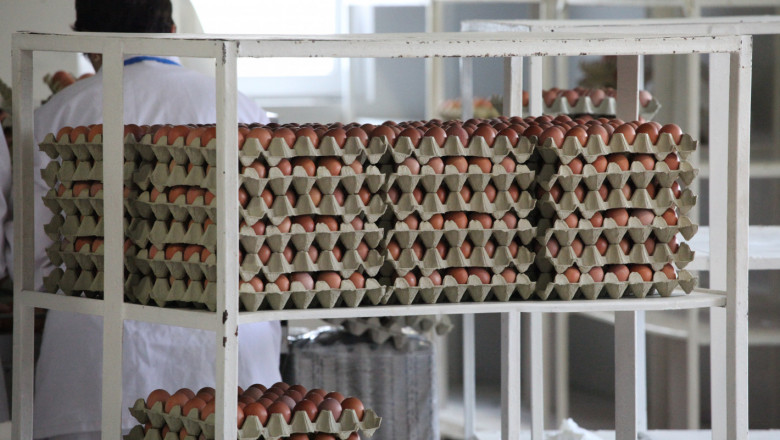 В Израел искат да ядат български яйца