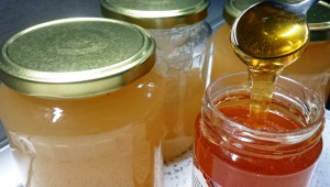 Пчелари сигнализират: Стъклените буркани вече са дефицитна стока