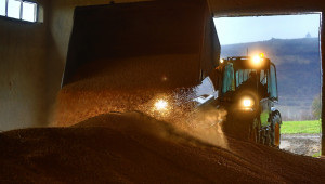 Защо държавата се отказа да изкупува фуражно зърно?