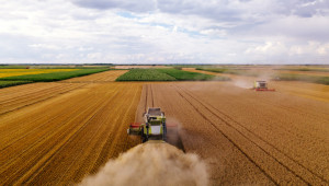 Прогнози на ЕК: Повече зърнени и маслодайни култури в ЕС. Износът ще нарасне с 40%