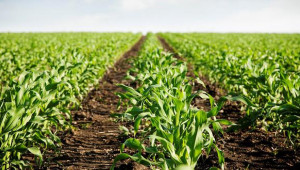 ЕС има нов лидер по биологично земеделие - Agri.bg
