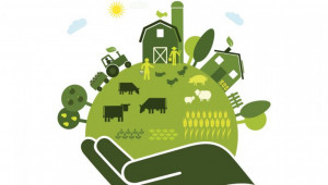Агроиновации: Устойчиви решения за кръгова икономика - Agri.bg