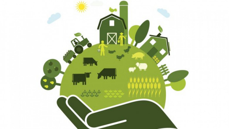 Агроиновации: Устойчиви решения за кръгова икономика