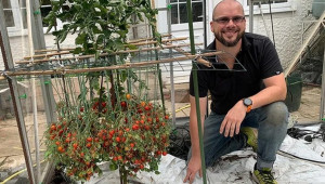 Фермер постави нов рекорд за реколта от чери домати - Agri.bg