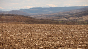 Кампания 2022: Земите под угар отиват за храни и фуражи - Agri.bg