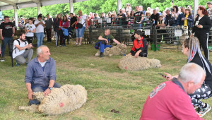 Бойко Георгиев е абсолютният шампион по ръчна стрижба на овце - Снимка 2